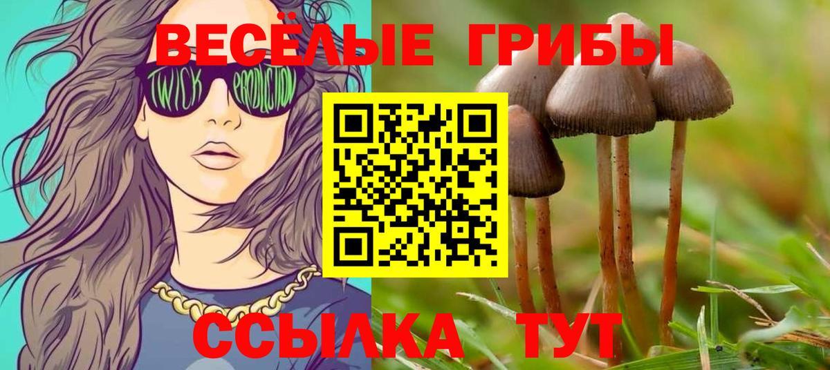 наркошоп  Галлюциногенные грибы мицелий  Вход с VPN  Куйбышев 