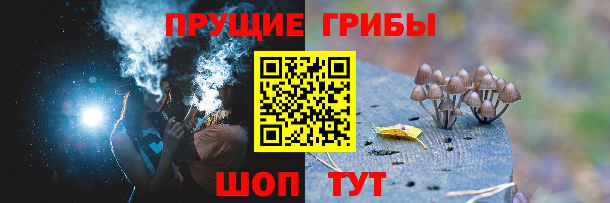 Псилоцибиновые грибы Cubensis Куйбышев